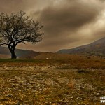 В 16,30 ЧАСА В БЕРКОВИЦА СТАРТИРА СЕДМИЦАТА НА ГОРАТА