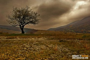 В 16,30 ЧАСА В БЕРКОВИЦА СТАРТИРА СЕДМИЦАТА НА ГОРАТА