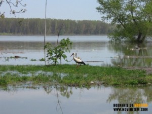 ДУНАВ СЕ КРОТНА