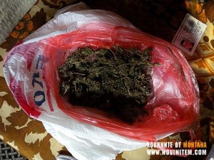 ЗАЛОВИХА КАНАБИС В ДОМА НА ВЪРШЕЧАНИН