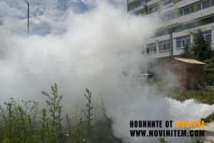 ДЪРЖАВАТА НАЙ-ПОСЛЕ ОТПУСКА 45 ХИЛЯДИ ЛЕВА ЗА БОРБА С КОМАРИТЕ В МОНТАНСКО