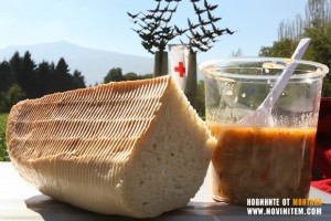 БЧК РАЗДАВА ХРАНИ НА БЕДНИ