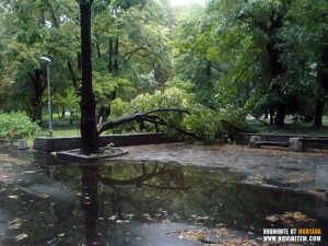БУРНИЯТ ВЯТЪР ПОВАЛИ ДЪРВЕТА В БЛАГОВО, РАЗМИНА СЕ БЕЗ ЖЕРТВИ