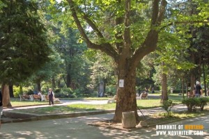 ПИТЕЙНАТА ВОДА ВЪВ ВЪРШЕЦ ПОТИЧА МЪТНА СЛЕД ВСЕКИ СЛАБ ДЪЖД