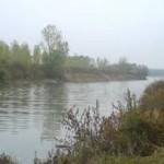 СТАРИЦА СЕ УДАВИ В ДУНАВ