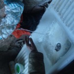СЪВЕТНИК ПОМОГНA НА ПОЛУСЛЯПА БАБА ДА ИМА ОТНОВО ВОДА