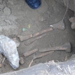 Скелет на 1 000 години откриха в центъра на Лом