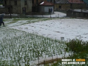 Градушка съсипа лозя и градини в Горно Белотинци