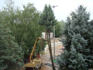 Свлачище покри с кал цяла улица в Мала Кутловица