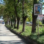 ПЛАКАТИ КАЦАТ ВЪРХУ ПЪТНИ ЗНАЦИ