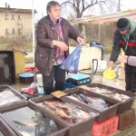 САМО ПРЯСНА  РИБА НА ПАЗАРА В МОНТАНА