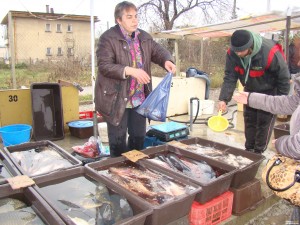 САМО ПРЯСНА  РИБА НА ПАЗАРА В МОНТАНА
