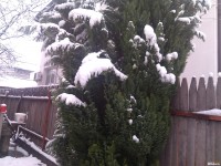 ЛОШОТО ВРЕМЕ ПРОДЪЛЖАВА