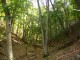 ЛОВЕЦ БЕЗ СЛУКА ЗАСТРЕЛЯ ШЕСТ ДОМАШНИ ПРАСЕТА