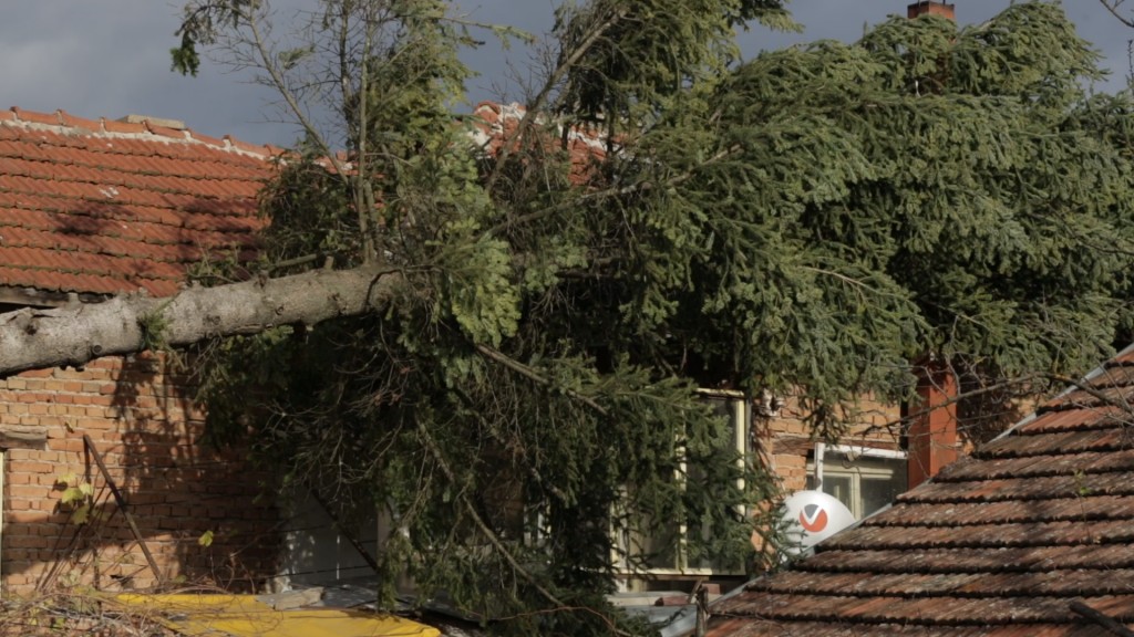 Image2