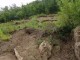 МЪЖ ОТ СПАНЧЕВЦИ ОТГЛЕЖДА ДВЕ ДИВИ ПРАСЕТА