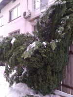 IMG_20160107_091104