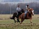 ПО 10 ЛЕВА ЗА ВСИЧКИ УЧАСТНИЦИ В КУШИЯТА В БЕРКОВИЦА