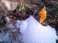 IMG_20160206_084539