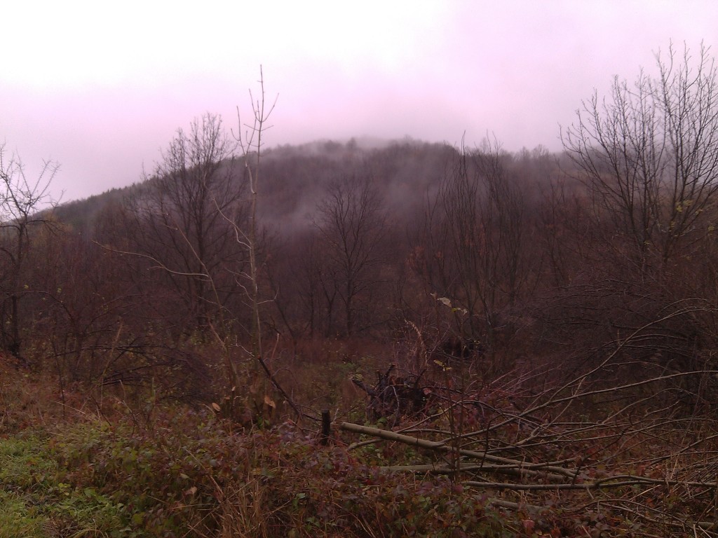 img_19800111_124447