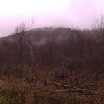 img_19800111_124447