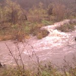 img_19800111_124823