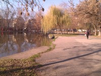 img_19800120_141222