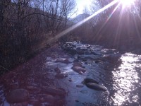 img_19800106_053644