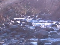 img_19800106_053745