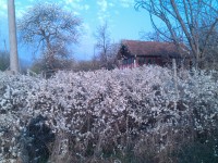 IMG_20170326_082330