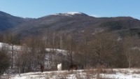 20161231_124133
