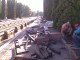 В ПЕТЪК 1 066 БЕЗРАБОТНИ ТРЪГВАТ НА РАБОТА