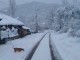 ОТВОРИХА ПЪТЯ ЗА ЛОМ, ВСЕ ОЩЕ ИМА СЕЛИЩА БЕЗ ТОК