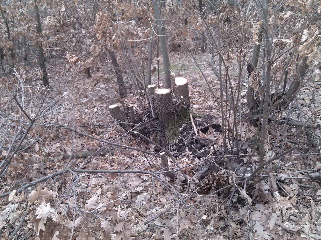 1-51