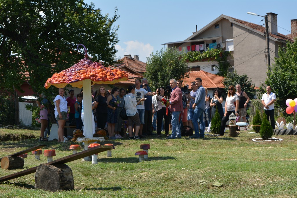 DSC_1380 (2)