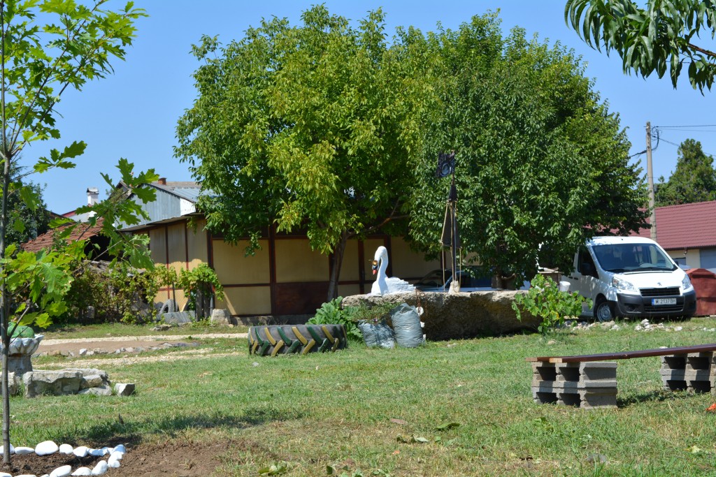 DSC_1386 (2)