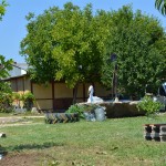 DSC_1386 (2)