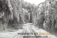 Photo Petrohan (1)