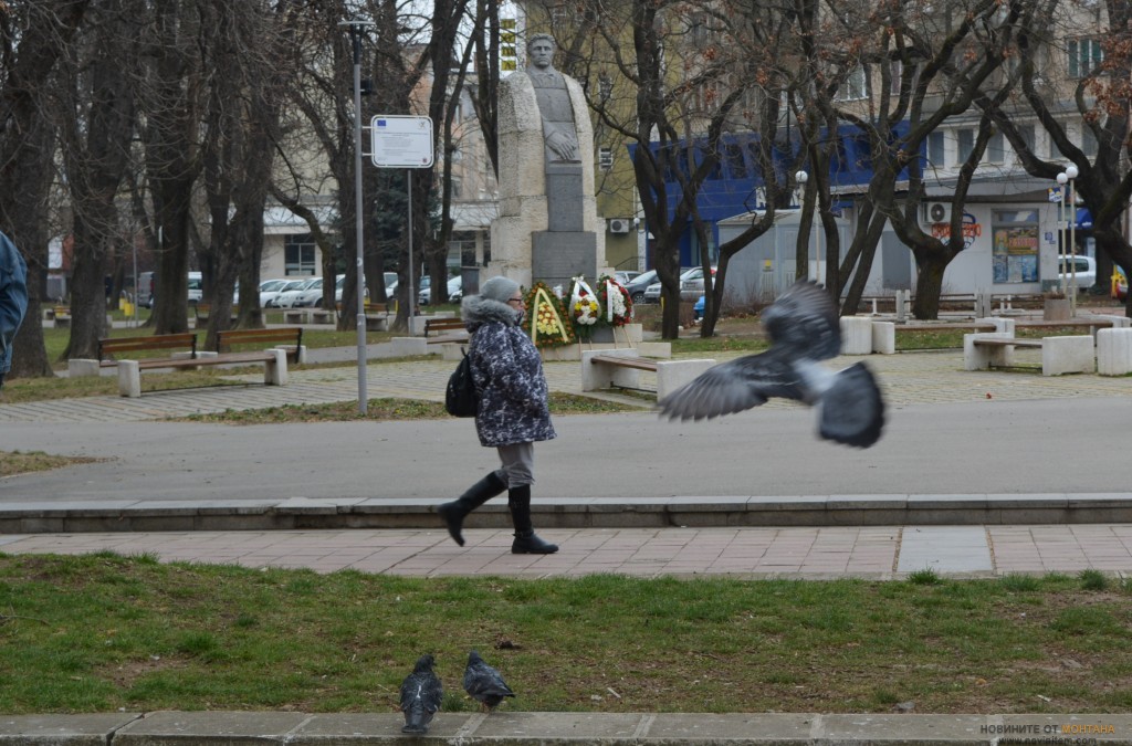 DSC_1751 (4)
