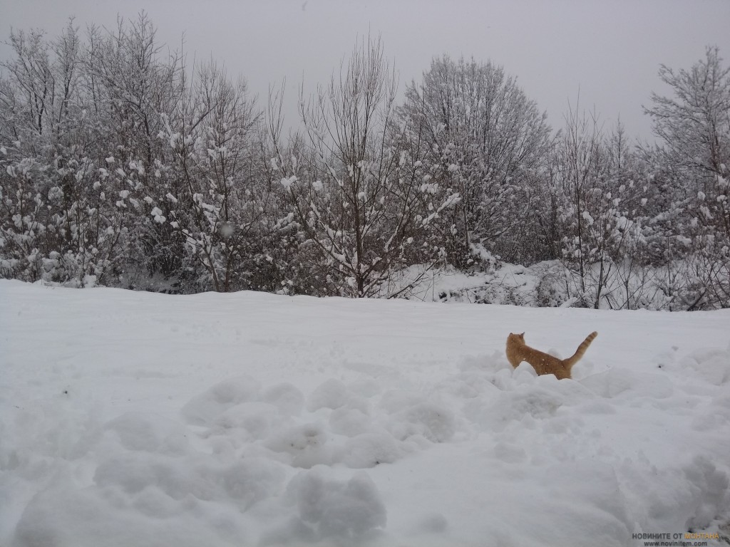 1з