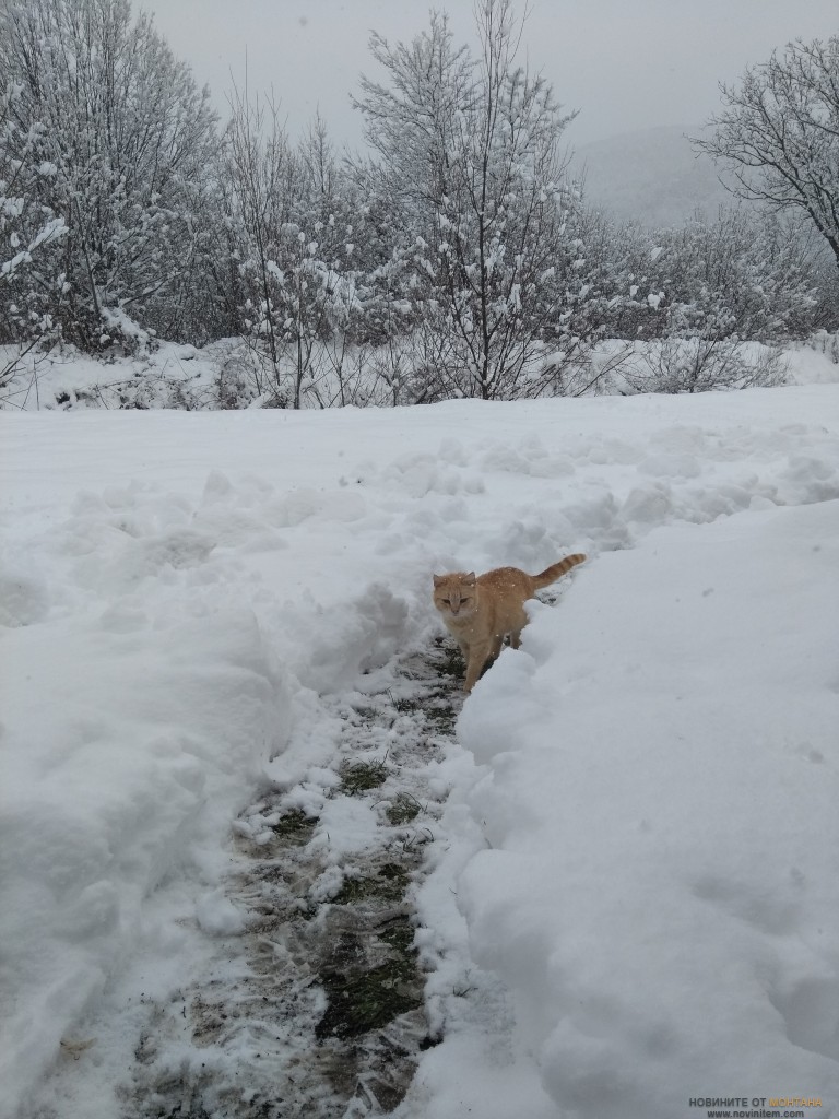 1зз