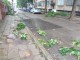ЖЕГАТА СВЪРШИ С УРАГАНЕН ВЯТЪР И ДЪЖД