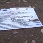 IMG_20171025_162034