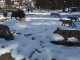 ВЪРШЕЦ С НОВА АТРАКЦИЯ
