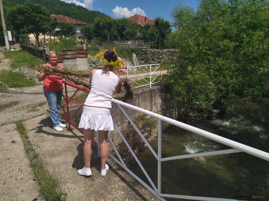 IMG_20220624_114942 (1)