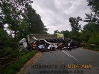 IMG-7464f5e6f964314db2d782a3bf4a1de0-V (5)