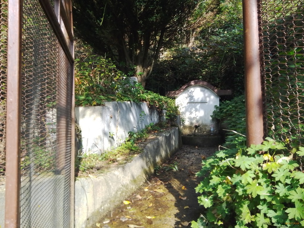 Exif_JPEG_420