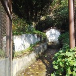 Exif_JPEG_420