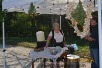 DSC_0765 (2)