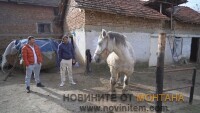 Image6 (6)